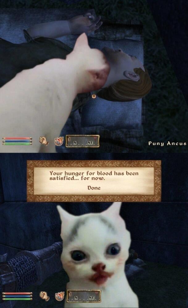 4oiSQCcLhSA.jpg.jpeg