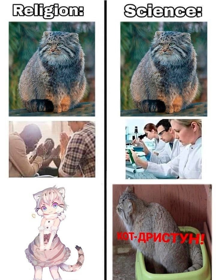 6R-9W46ShOk.jpg.jpeg