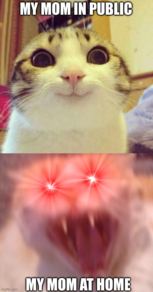 7btibh.jpg.jpeg