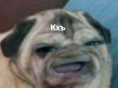 97195043.jpg.jpeg