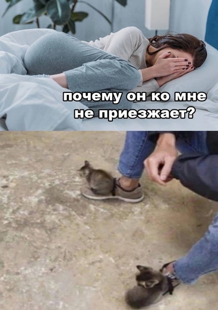 cr3vQtufPaM.jpg.jpeg