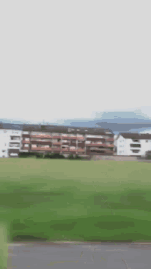 dave-ardito.gif