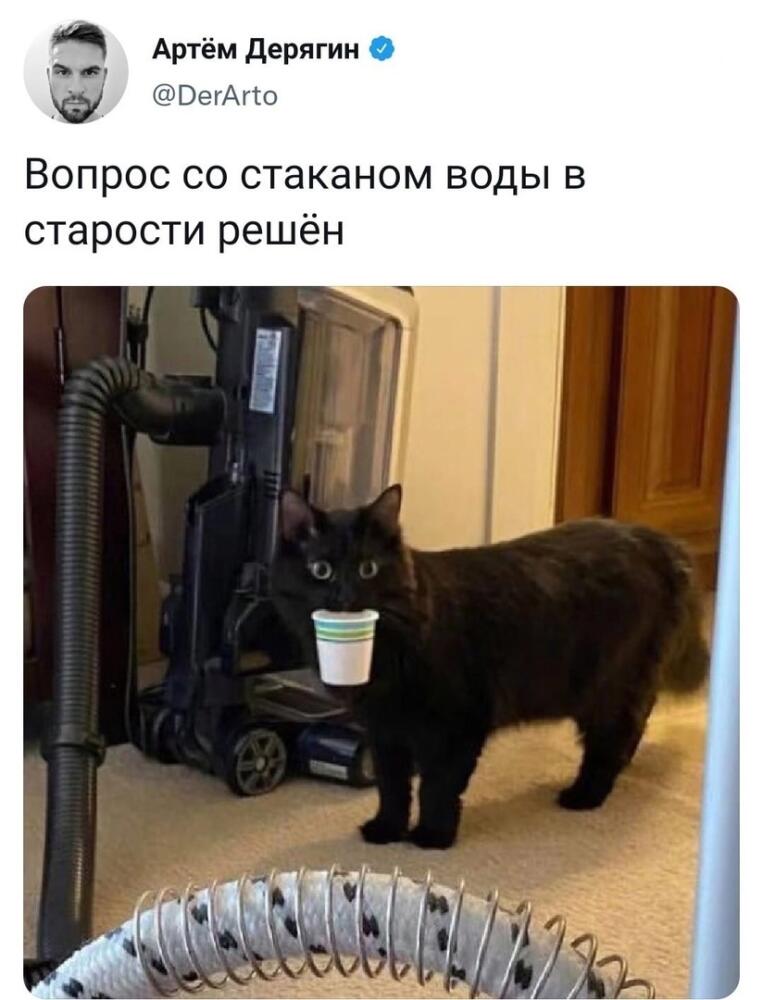 DMrkT81MkjY.jpg.jpeg