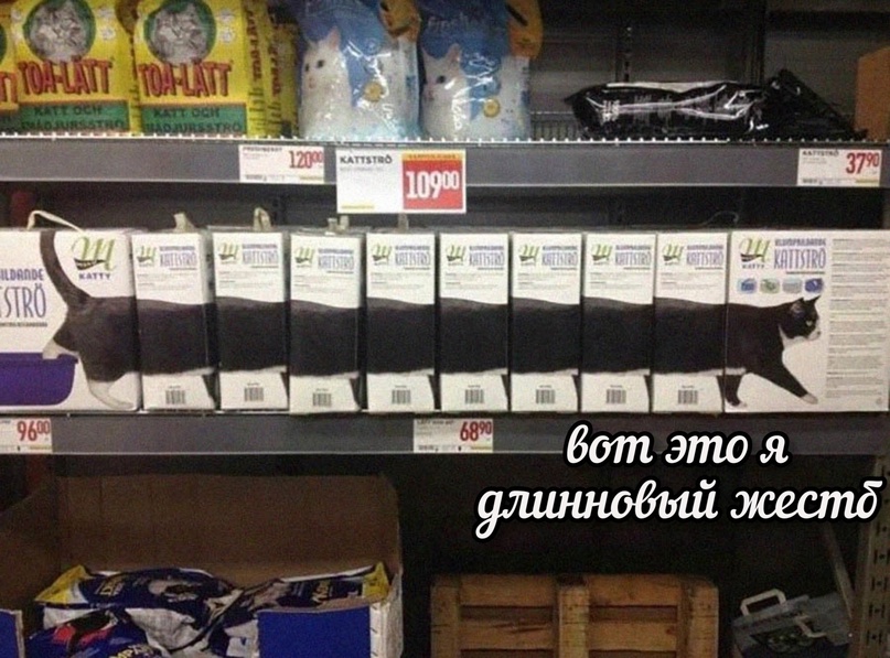 FGwq2IgzfOA.jpg.jpeg