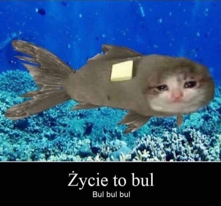 FWOardbjo0g.jpg.jpeg