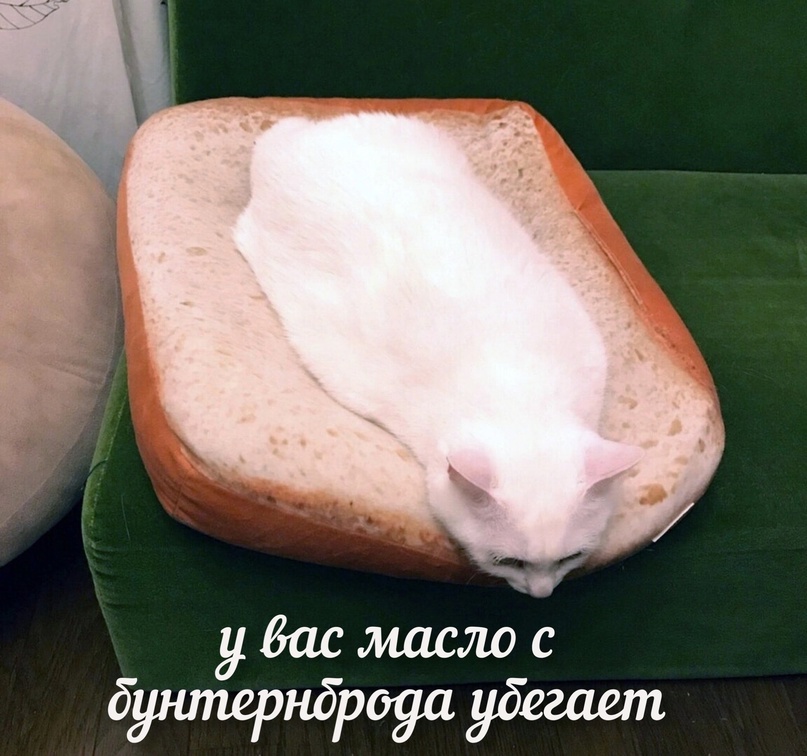 hJWSx6Eefsw.jpg.jpeg