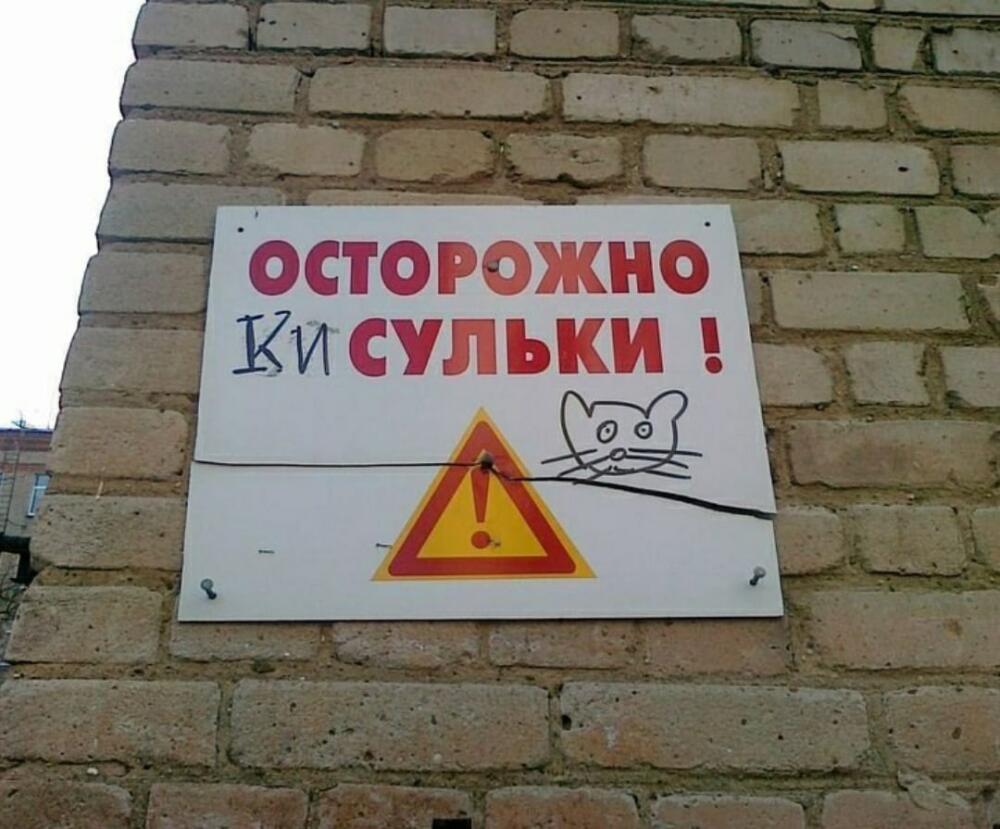 hPKZ_mcAtwc.jpg.jpeg