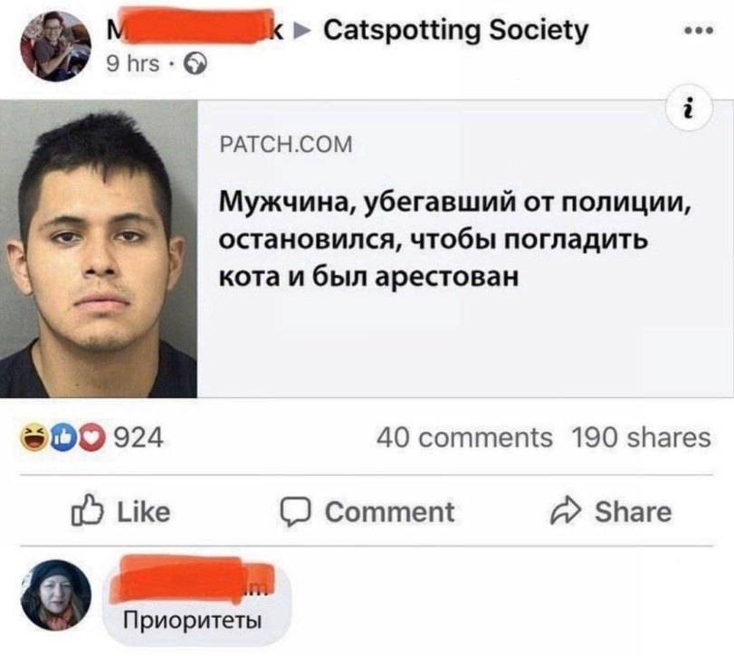 %D0%BA%D0%BE%D1%82%D1%8D-8026189.jpeg