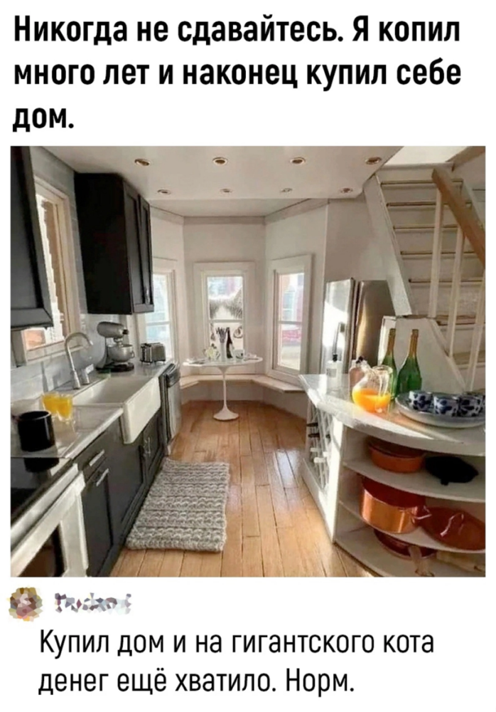 %D0%BA%D0%BE%D1%82%D1%8D-%D0%B4%D0%BE%D0%BC-8036018.png.webp.png