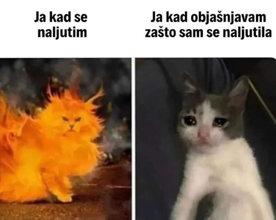 KvpL5yyYYIQ.jpg.jpeg