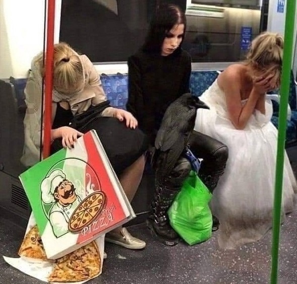 M1ry23EXkBQ.jpg.jpeg