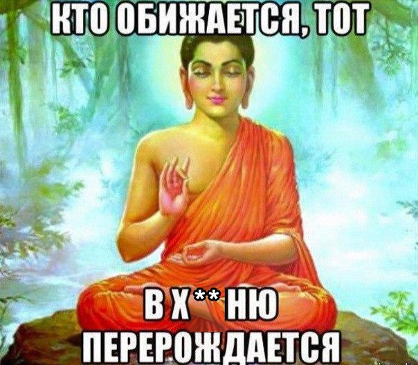 Meu2k5W0jr8.jpg.jpeg