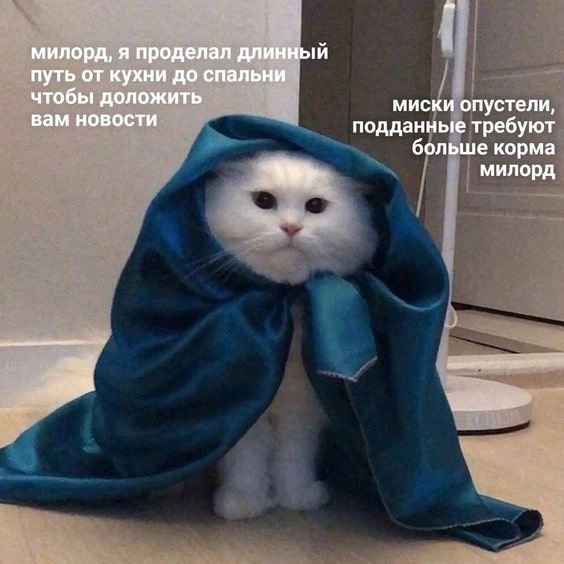 nJRCksPvPLE.jpg.jpeg