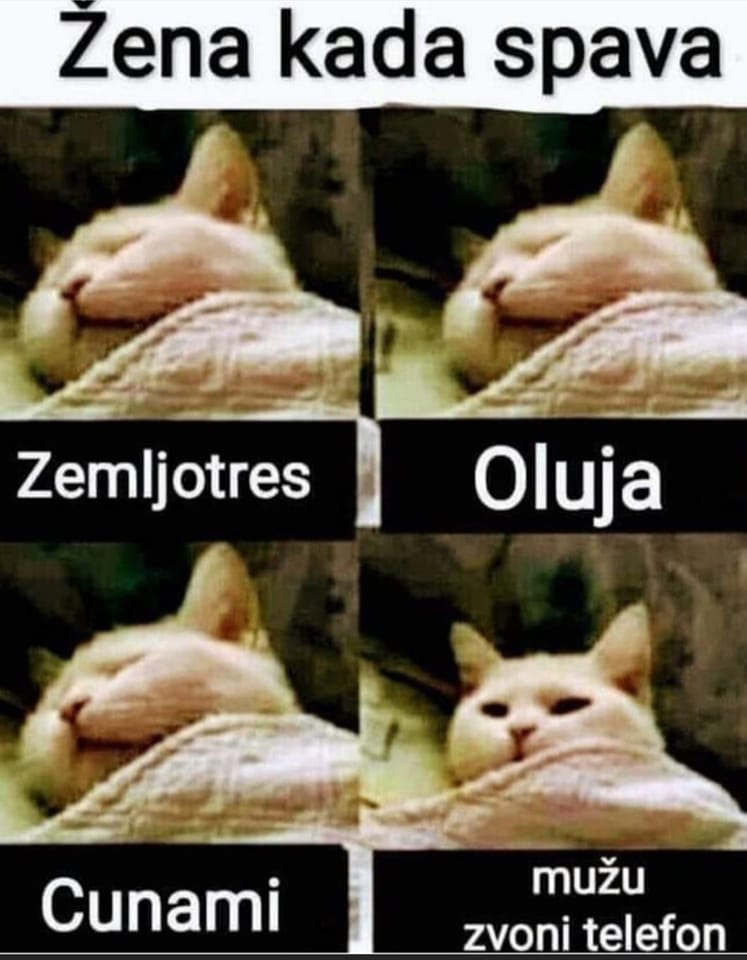 ocsV0lrcB_c.jpg.jpeg