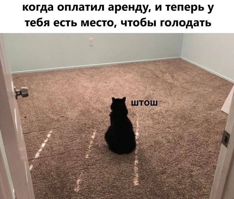 pQBBrlBrC2M.jpg.jpeg