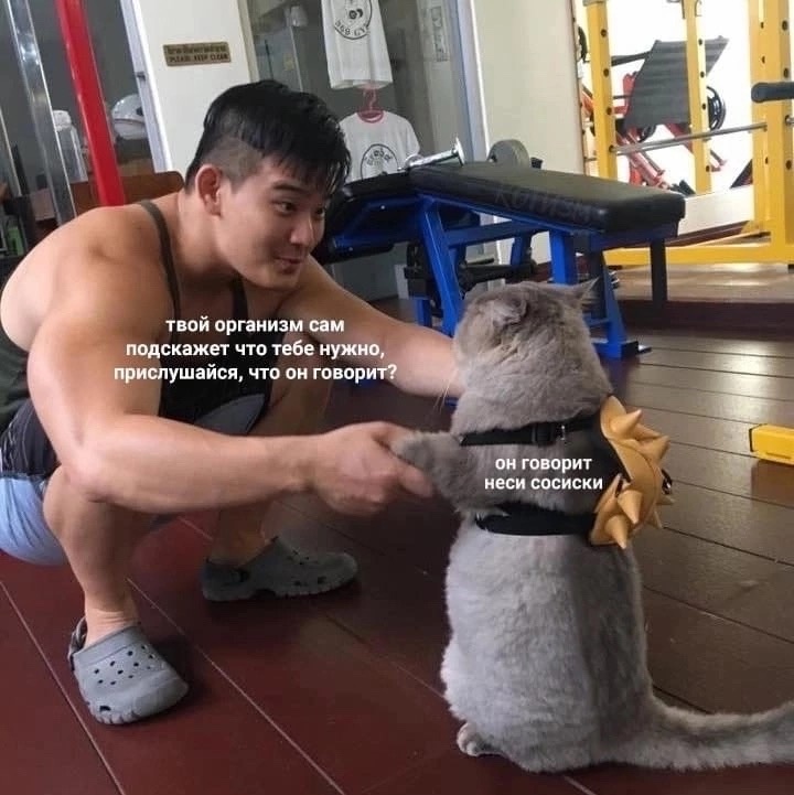 qp-oq1aAlQA.jpg.jpeg
