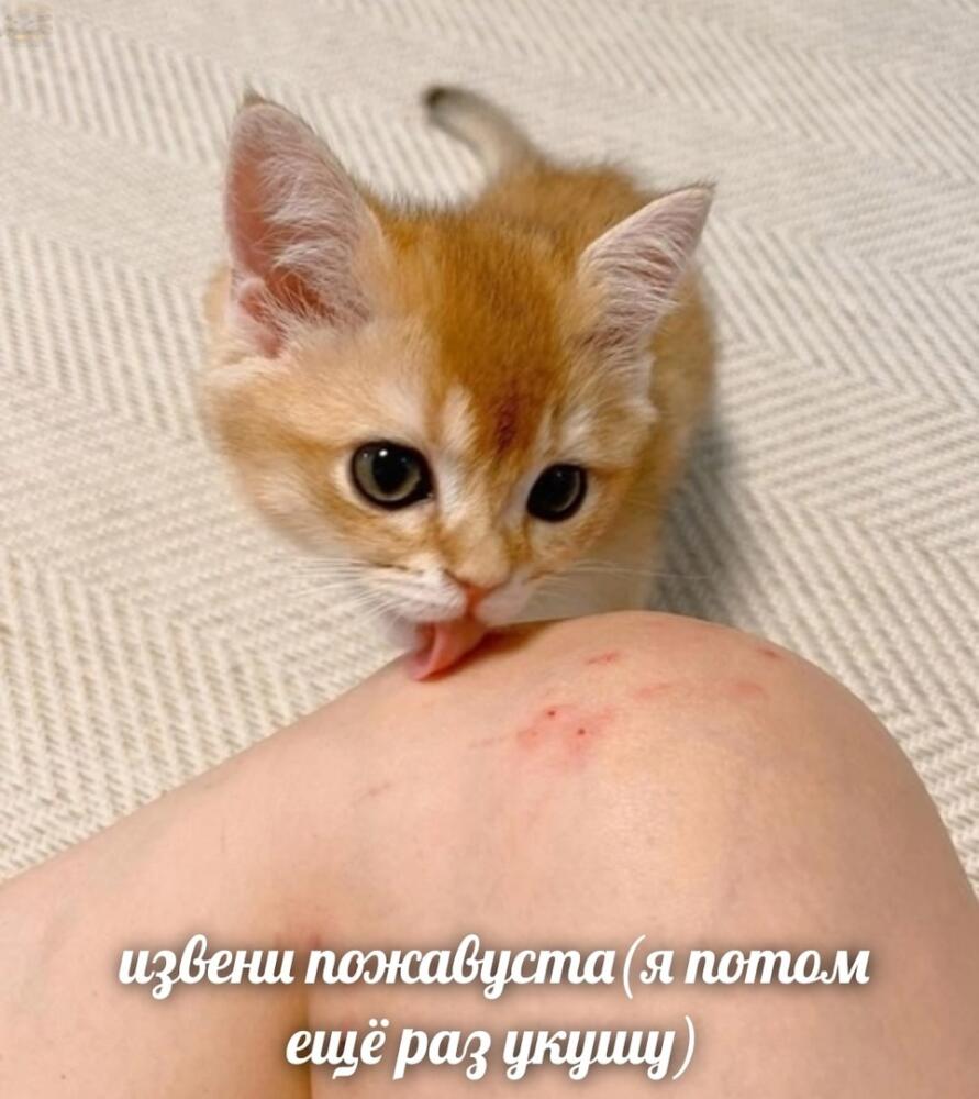QsEIjDaOFLY.jpg.jpeg