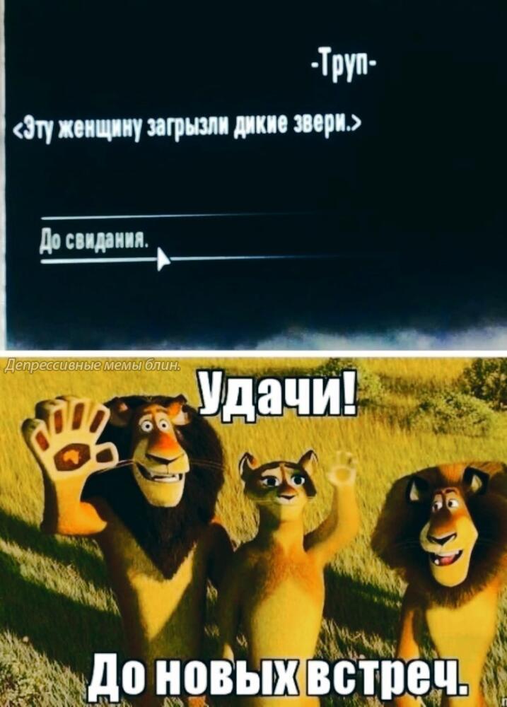 rnT3Kb83BoI.jpg.jpeg