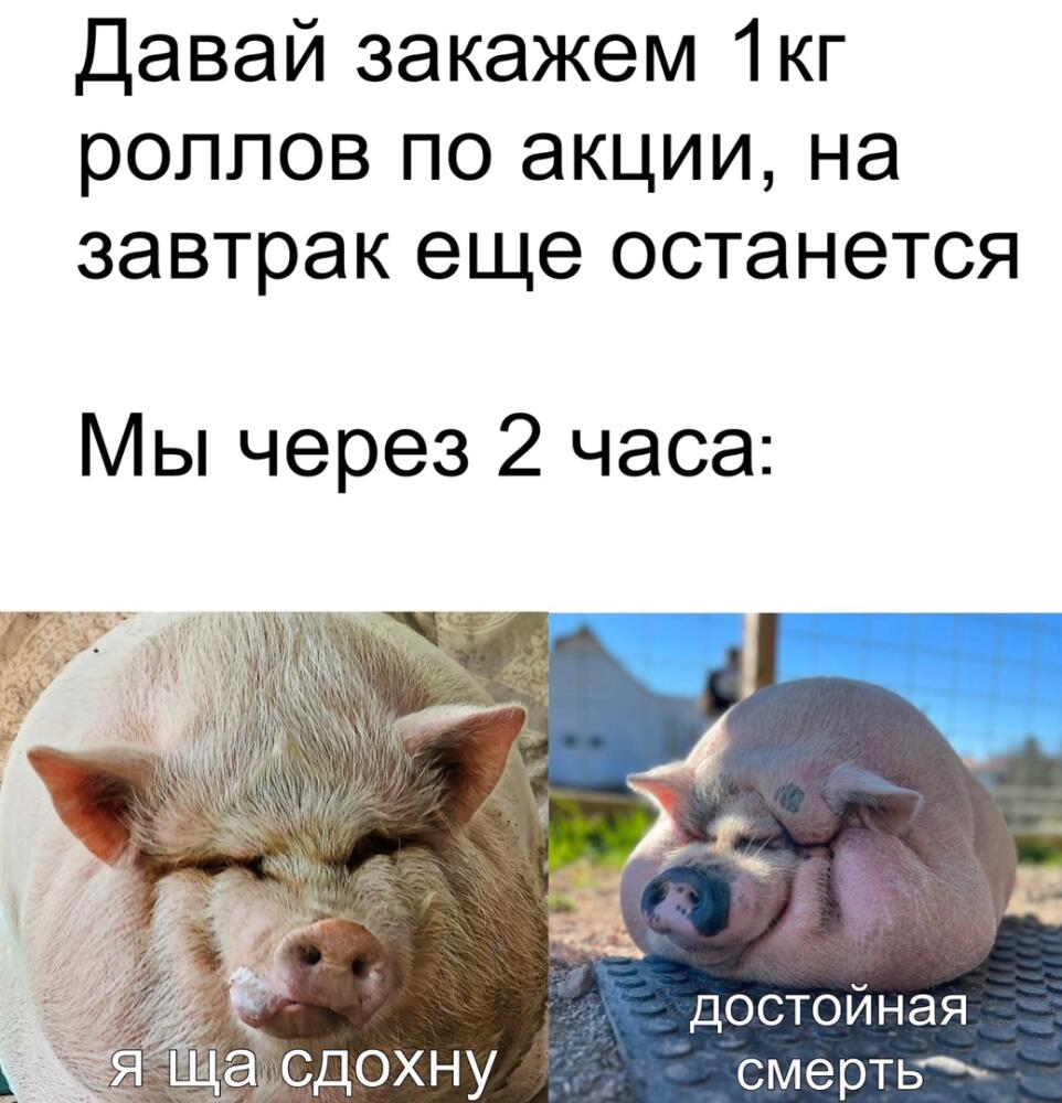 ryOuy3bFNwU.jpg.jpeg