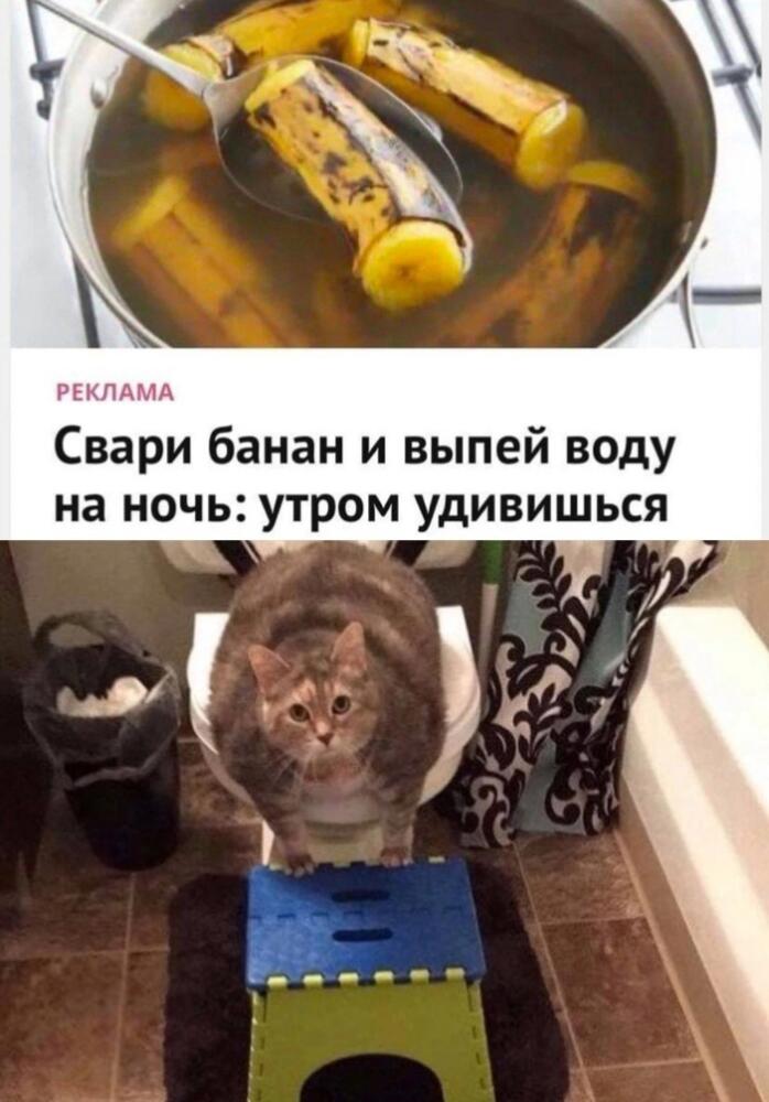 s3dUSK3MjEo.jpg.jpeg