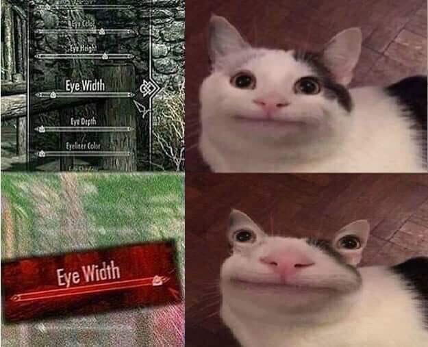 sMCTwPZNxuA.jpg.jpeg