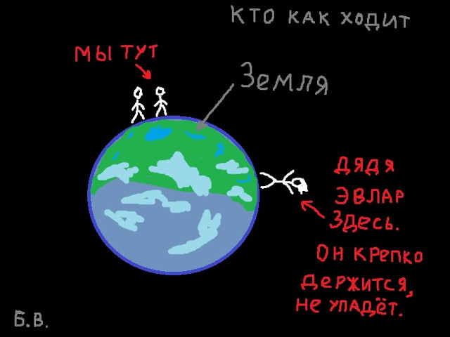 Sova2.jpg.jpeg
