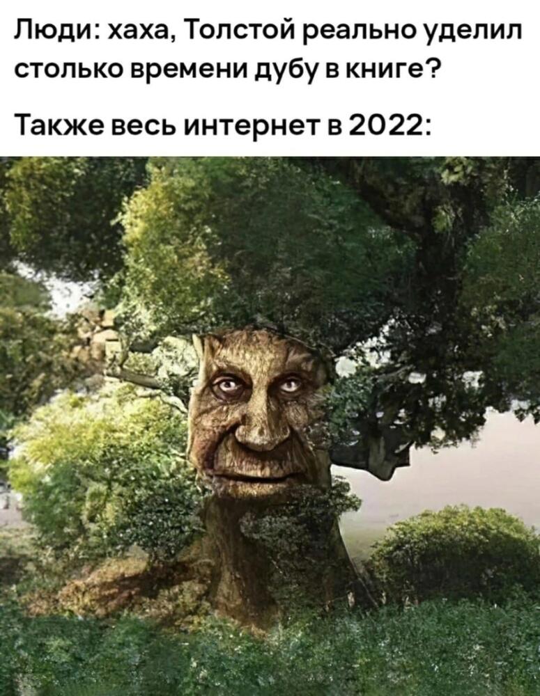 toIgscvxxQw.jpg.jpeg