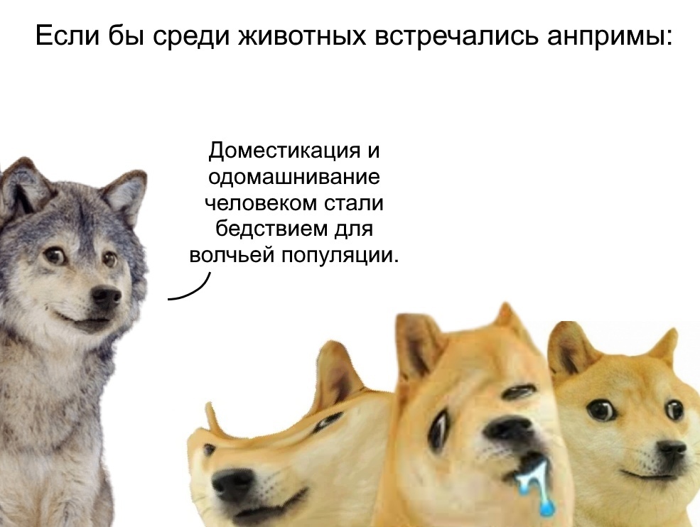 -UmjQDsoPQ4.jpg.jpeg