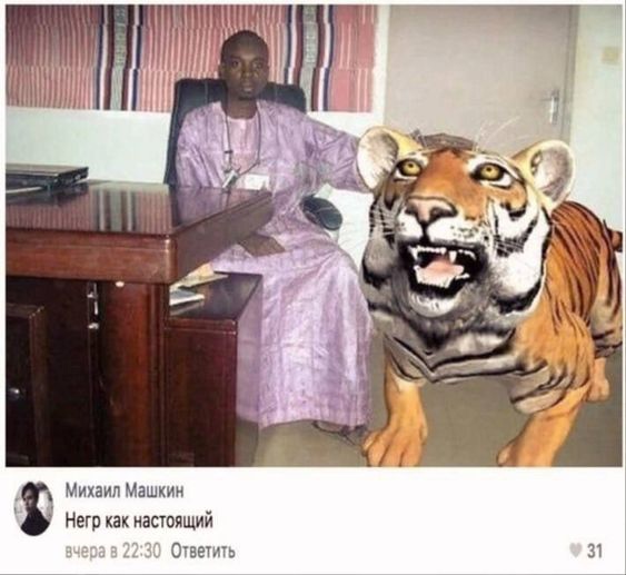 v0dZsiSGFV4.jpg.jpeg