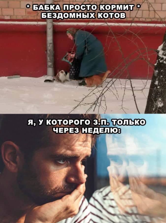 w9SkljXNRsY.jpg.jpeg