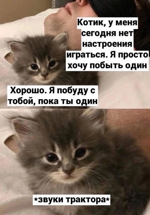Wd0WmQK93k0.jpg.jpeg