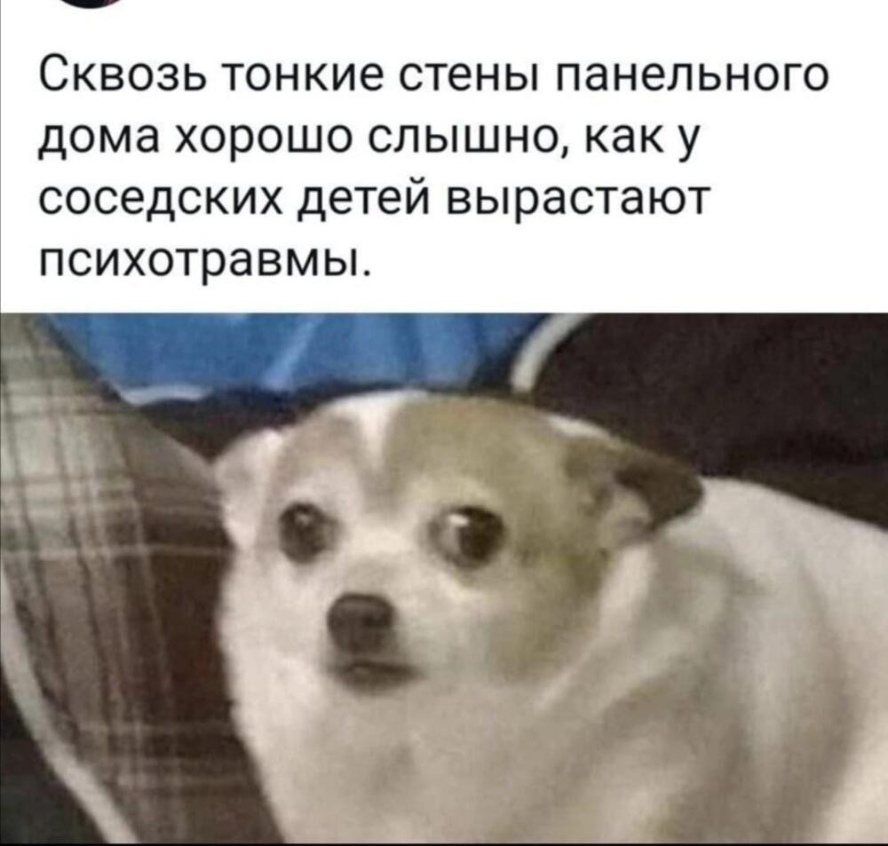 xGNwExPsZXM.jpg.jpeg