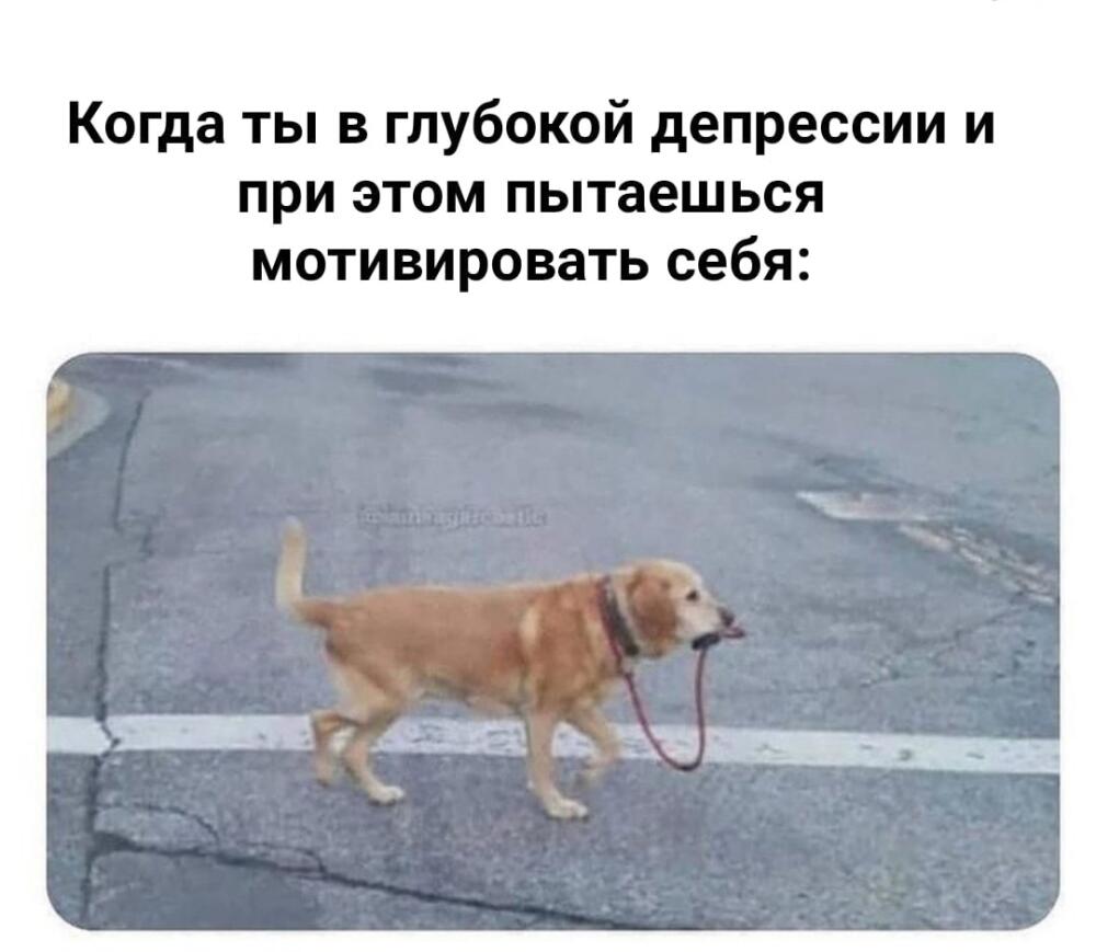 XvCqcocojFM.jpg.jpeg