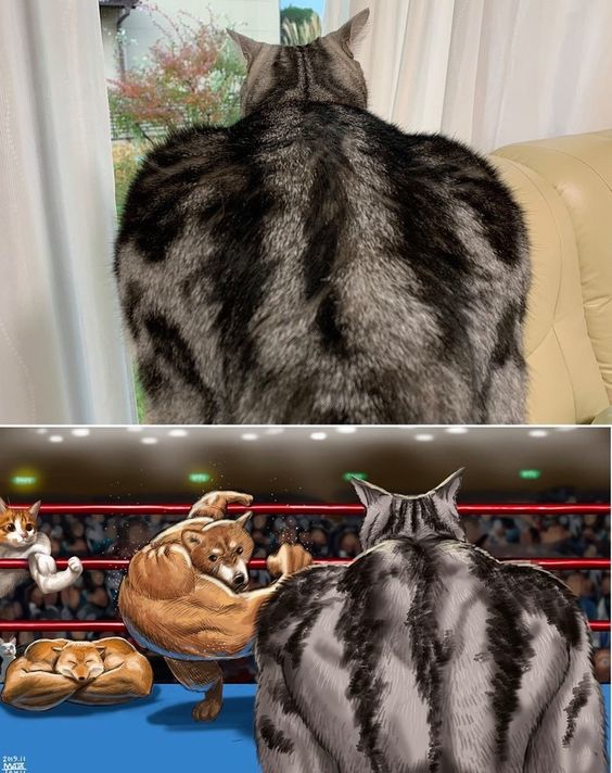 YdZ4wsavRMY.jpg.jpeg