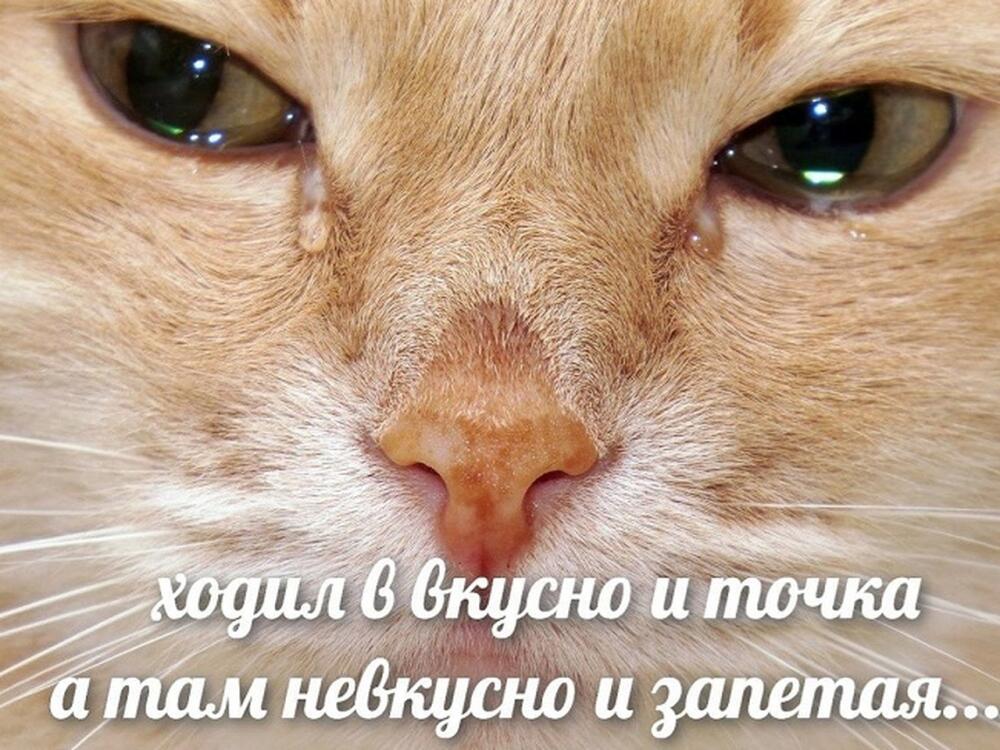 zDbNRqytYwCQ-1280.jpg.jpeg