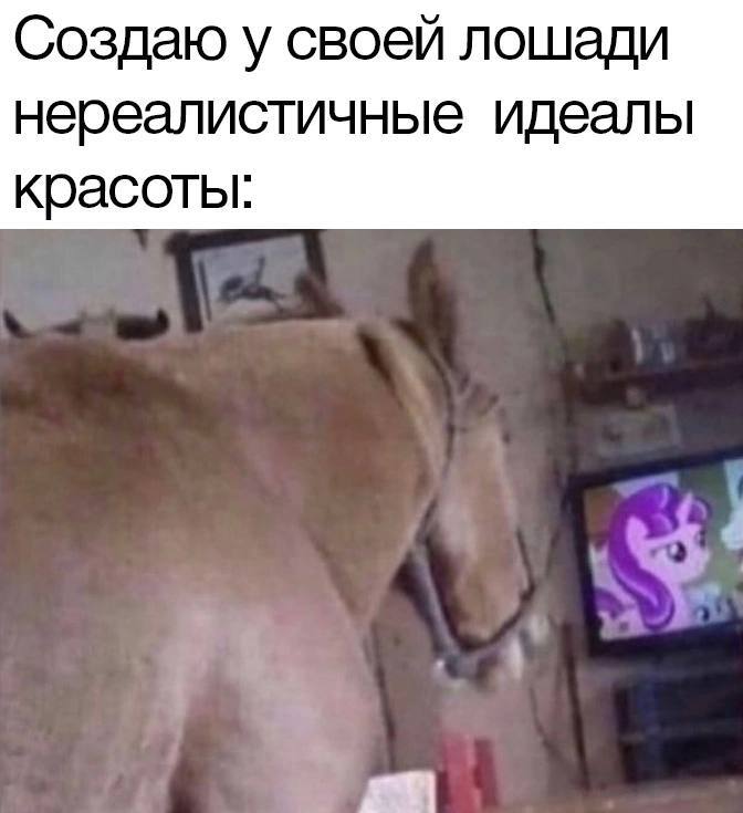 %D0%9F%D1%80%D0%B8%D0%BA%D0%BE%D0%BB%D1%8B-%D0%B4%D0%BB%D1%8F-%D0%B4%D0%B0%D1%83%D0%BD%D0%BE%D0%B2-%D1%80%D0%B0%D0%B7%D0%BD%D0%B.jpeg