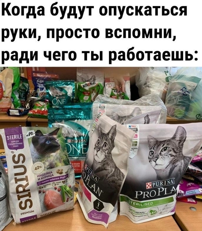 1681478422114944275.jpg.jpeg