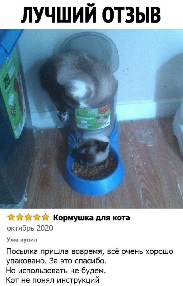 1691933520141324913.jpg.jpeg