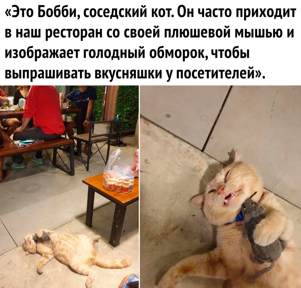 169195377721908512.png.webp.png