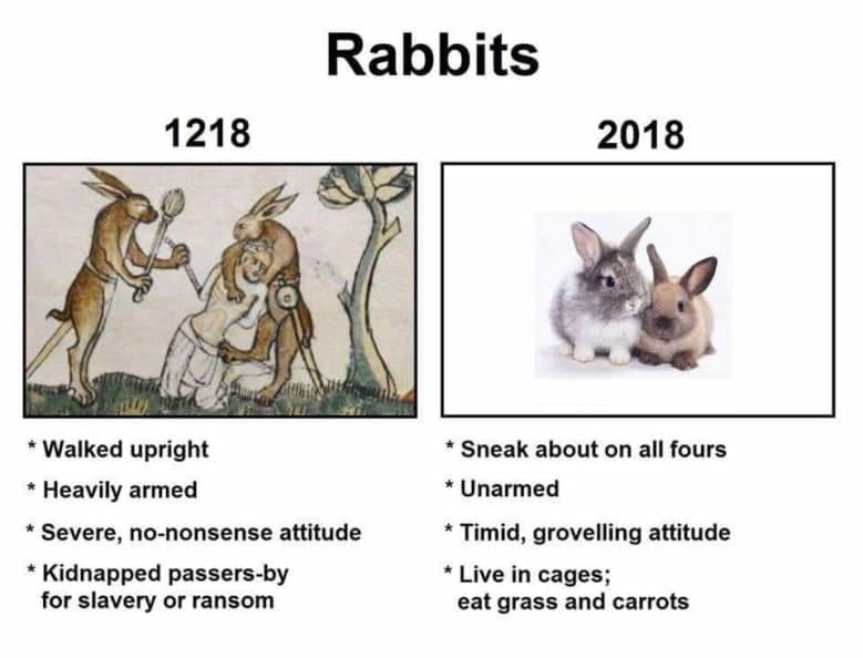 57OMmjmDokQ.jpg.jpeg