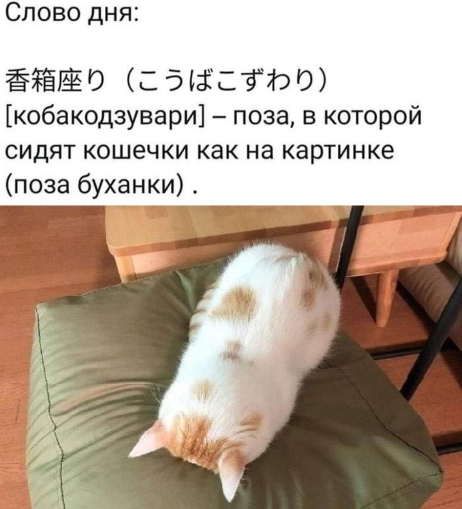 AcSTKJWifnE.jpg.jpeg