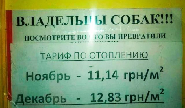 anon-%D1%81%D0%BE%D0%B1%D0%B0%D0%BA%D0%B5%D0%BD-%D0%9F%D1%80%D0%B8%D0%BA%D0%BE%D0%BB%D1%8B-%D0%B4%D0%BB%D1%8F-%D0%B4%D0%B0%D1%83.jpeg