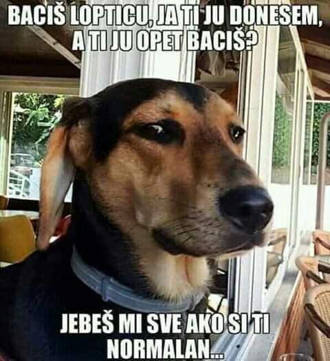 ceecfafbd4a5a71ae154008608754d0b.jpg.jpeg