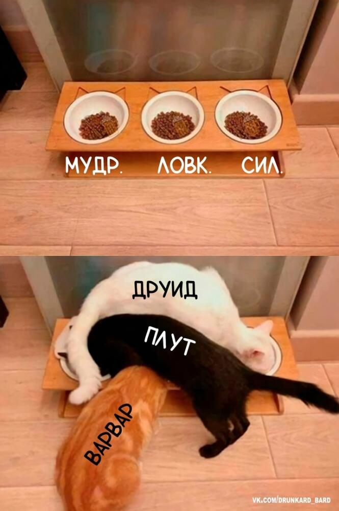DbmdY6Yk90Q.jpg.jpeg
