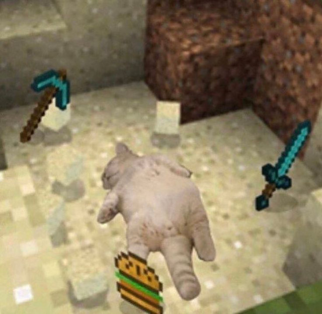 fa985.jpg.jpeg