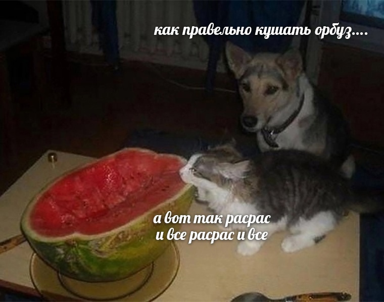 HS4mFwHfCVQ.jpg.jpeg