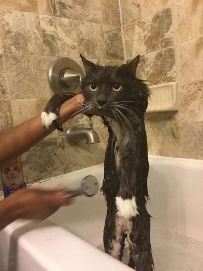 image.jpg.jpeg