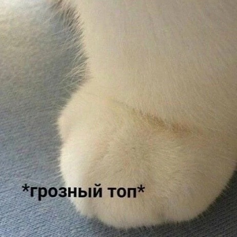 kLxZvxz_ikQ.jpg.jpeg