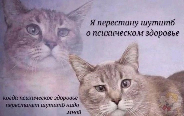 kz_Ex44TVrc.jpg.jpeg