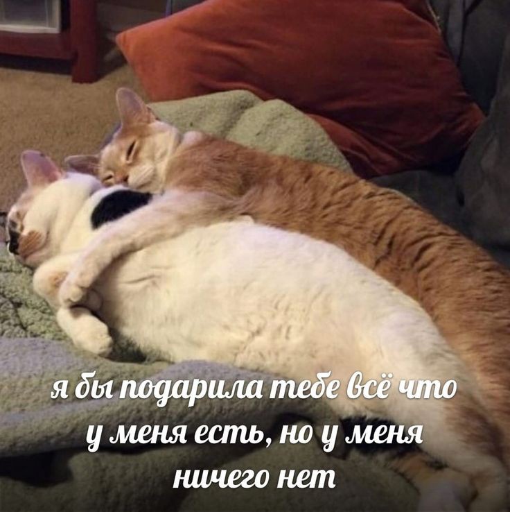 NL4vZTePBKk.jpg.jpeg